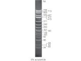 PhiX174 DNA / Hinf I Markers50ug