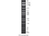 pGEM(R) DNA Markers 50ug (50lanes)