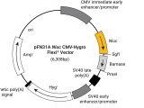 pFC32K NLuc CMV-neo Flexi(R) Vector