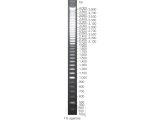 100bp DNA Step Ladder 100ug (100 lanes)