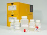 ReliaPrep(TM) gDNA Tissue Miniprep System 250 Preps