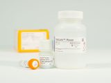 HaloTag(R) Protein Purification System Sample Pack
