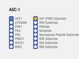 Kinase Selectivity Profiling System AGC-2