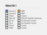 Kinase Selectivity Profiling System CK/Other-1 + ADP-Glo(TM)