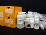 PureYield(TM) RNA Midiprep Start-Up Kit North America