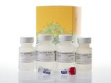 Wizard(R) HMW DNA Extraction Kit, 50 preps