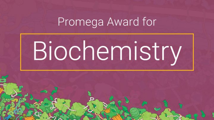 Премия Promega 2020 в области биохимии присуждается за вирусные исследования и протеиновую инженерию