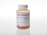 Alkaline Protease (APA) 130ml
